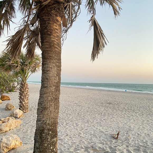 About the seller: - Picture 13 of 15